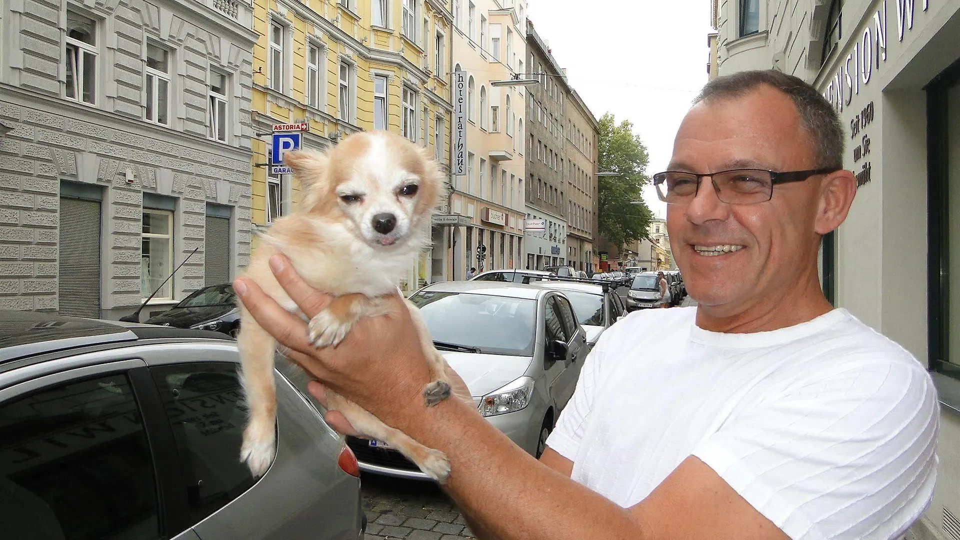 Hotel-Pension Wild Vienna