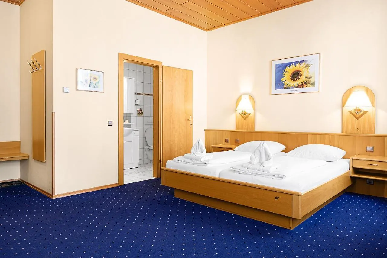 Hotel-Pension Wild Wiedeń
